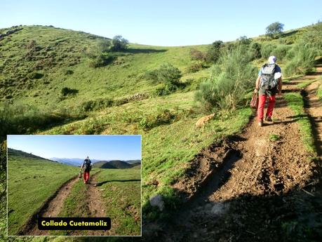 Gamonalín-Fana de Genestaza