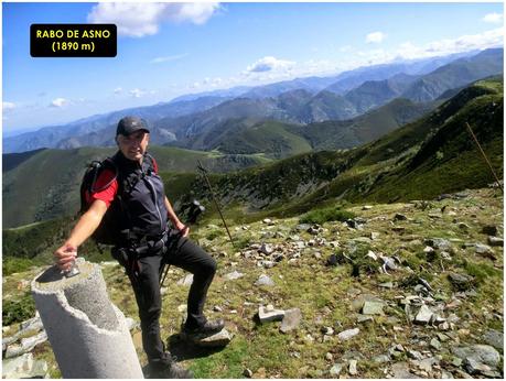 Rabo de Asno