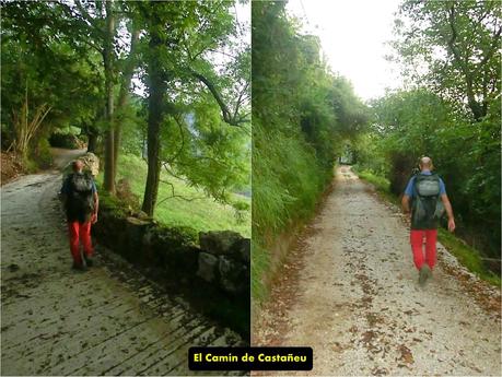 Pico Loral (desde Villanueva de Santo Adriano)