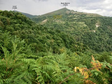 Pico Loral (desde Villanueva de Santo Adriano)