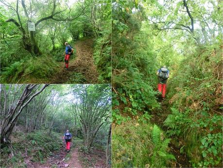 Pico Loral (desde Villanueva de Santo Adriano)