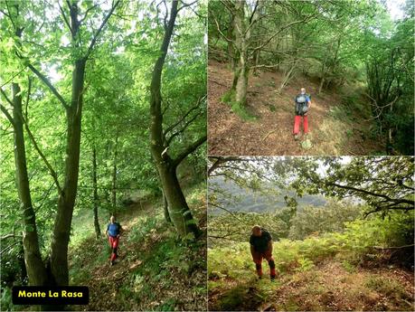 Pico Loral (desde Villanueva de Santo Adriano)