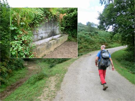 Pico Loral (desde Villanueva de Santo Adriano)