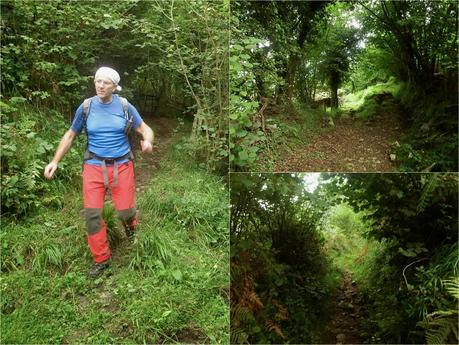 Pico Loral (desde Villanueva de Santo Adriano)