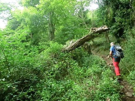 Pico Loral (desde Villanueva de Santo Adriano)