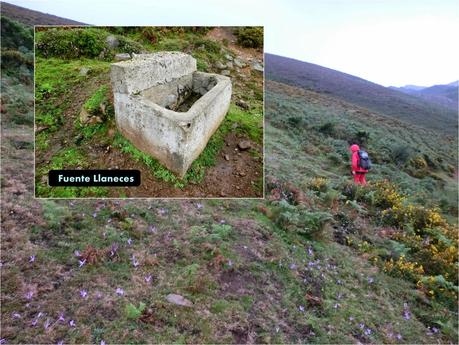 Pico Loral (desde Villanueva de Santo Adriano)