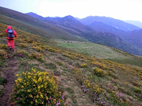 Pico Loral (desde Villanueva de Santo Adriano)