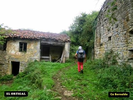 Pico Loral (desde Villanueva de Santo Adriano)