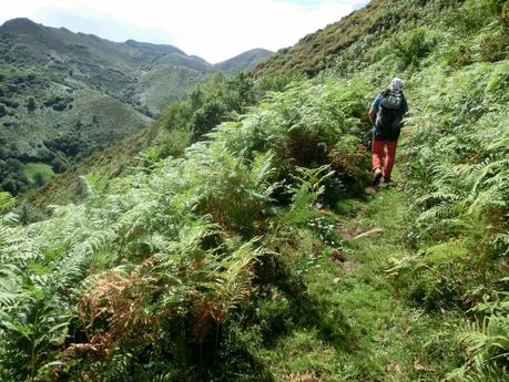 Pico Loral (desde Villanueva de Santo Adriano)