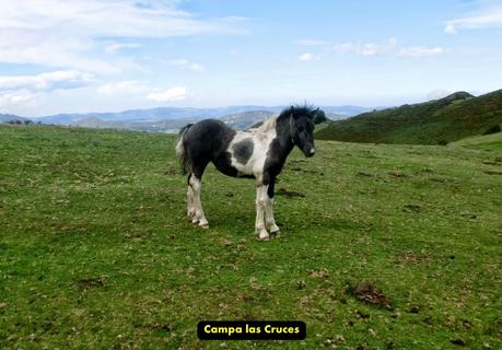 Pico Loral (desde Villanueva de Santo Adriano)