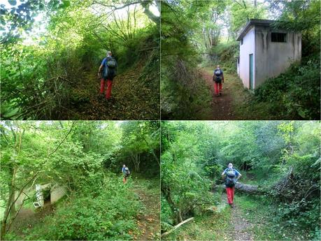 Pico Loral (desde Villanueva de Santo Adriano)