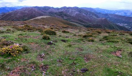 Pico Loral (desde Villanueva de Santo Adriano)