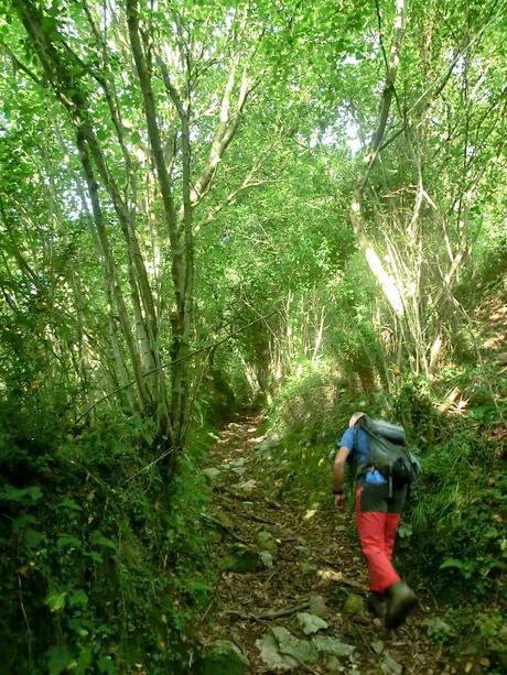 Pico Loral (desde Villanueva de Santo Adriano)