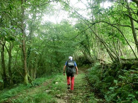 Pico Loral (desde Villanueva de Santo Adriano)