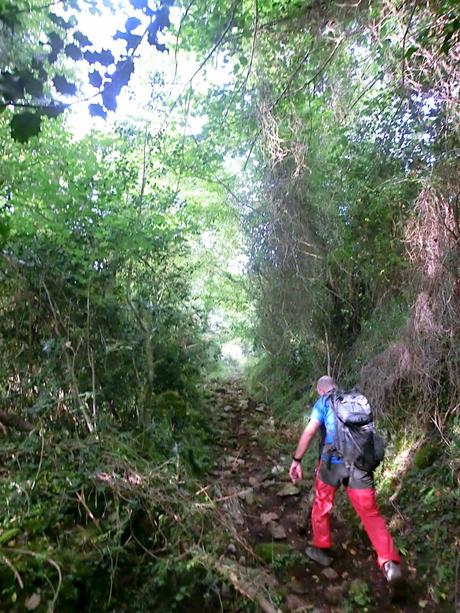 Pico Loral (desde Villanueva de Santo Adriano)