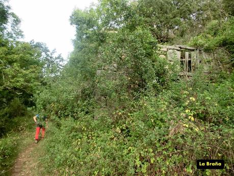 Pico Loral (desde Villanueva de Santo Adriano)