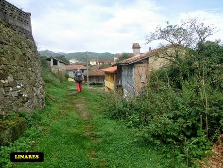 Pico Loral (desde Villanueva de Santo Adriano)