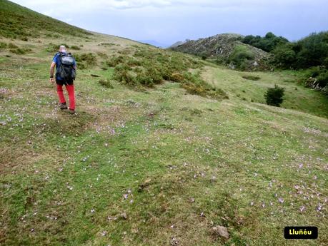 Pico Loral (desde Villanueva de Santo Adriano)