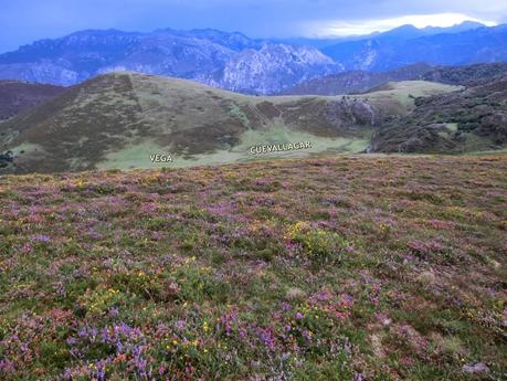 Pico Loral (desde Villanueva de Santo Adriano)