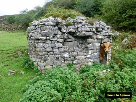 Pico Loral (desde Villanueva de Santo Adriano)