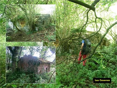 Pico Loral (desde Villanueva de Santo Adriano)