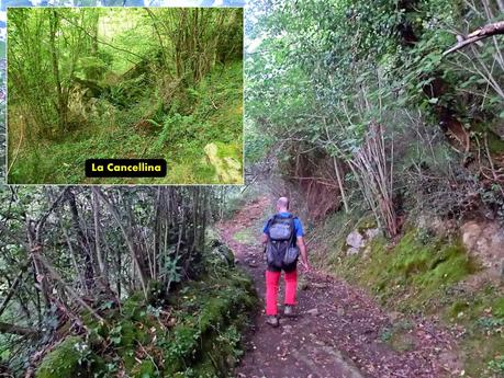 Pico Loral (desde Villanueva de Santo Adriano)