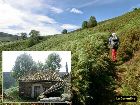 Pico Loral (desde Villanueva de Santo Adriano)