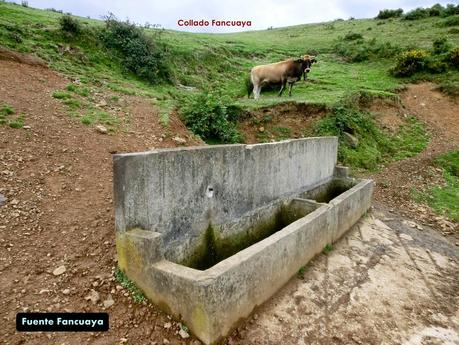 Pico Loral (desde Villanueva de Santo Adriano)