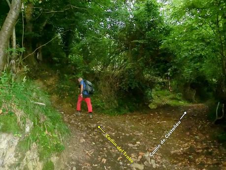 Pico Loral (desde Villanueva de Santo Adriano)