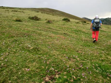Pico Loral (desde Villanueva de Santo Adriano)