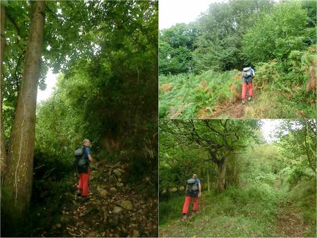 Pico Loral (desde Villanueva de Santo Adriano)