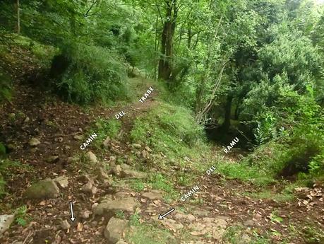 Pico Loral (desde Villanueva de Santo Adriano)