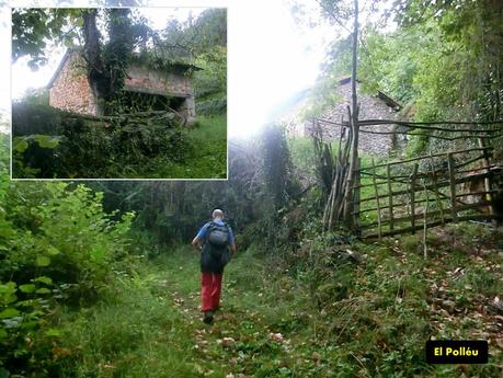Pico Loral (desde Villanueva de Santo Adriano)