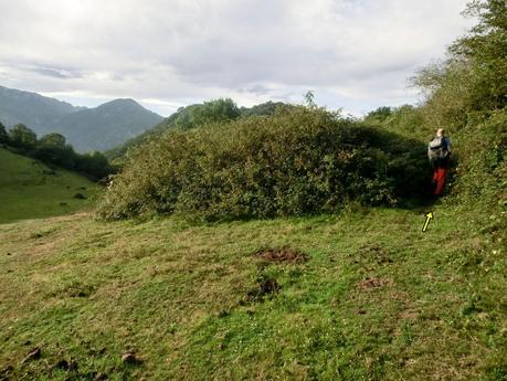 Pico Loral (desde Villanueva de Santo Adriano)
