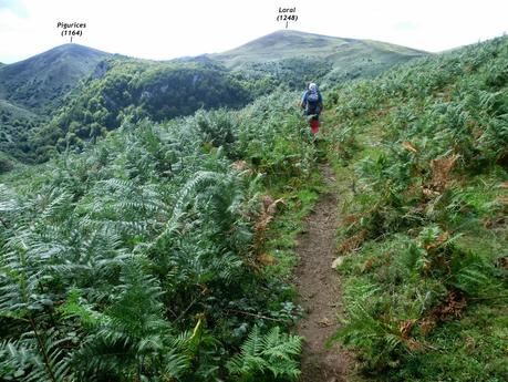 Pico Loral (desde Villanueva de Santo Adriano)