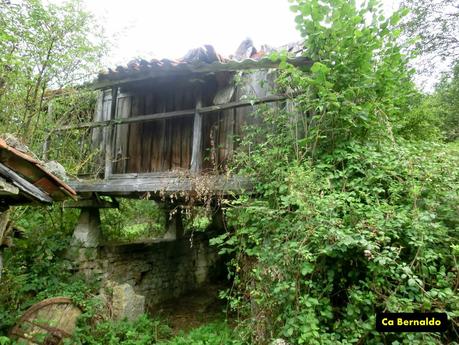 Pico Loral (desde Villanueva de Santo Adriano)