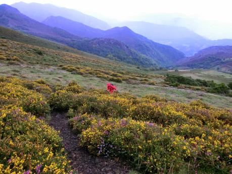 Pico Loral (desde Villanueva de Santo Adriano)