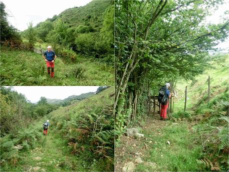 Pico Loral (desde Villanueva de Santo Adriano)