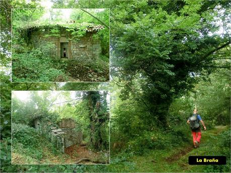 Pico Loral (desde Villanueva de Santo Adriano)