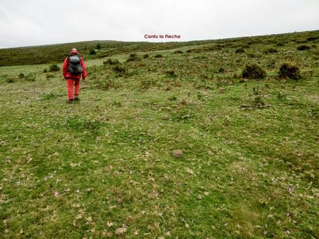 Pico Loral (desde Villanueva de Santo Adriano)