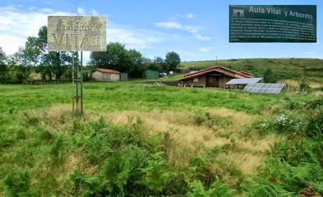 Pico Loral (desde Villanueva de Santo Adriano)