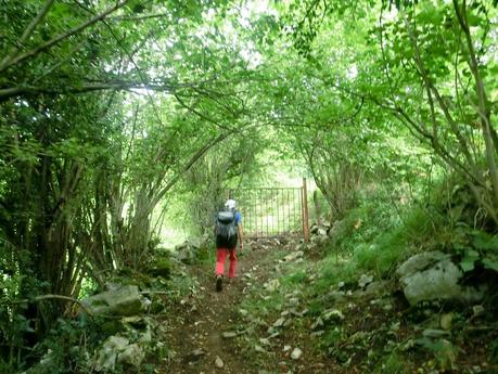Pico Loral (desde Villanueva de Santo Adriano)