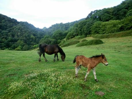 Pico Loral (desde Villanueva de Santo Adriano)