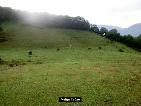 Pico Loral (desde Villanueva de Santo Adriano)