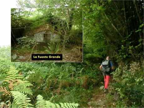 Pico Loral (desde Villanueva de Santo Adriano)