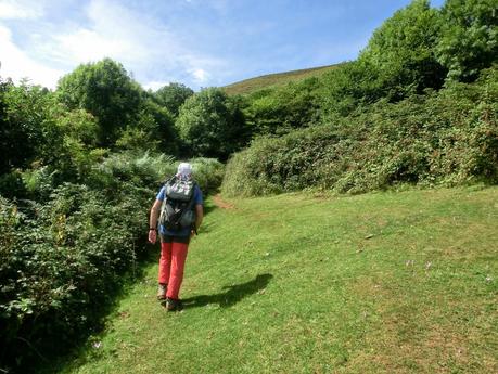 Pico Loral (desde Villanueva de Santo Adriano)