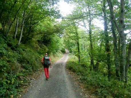 De braña en braña por Villar y Llamas