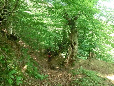 De braña en braña por Villar y Llamas