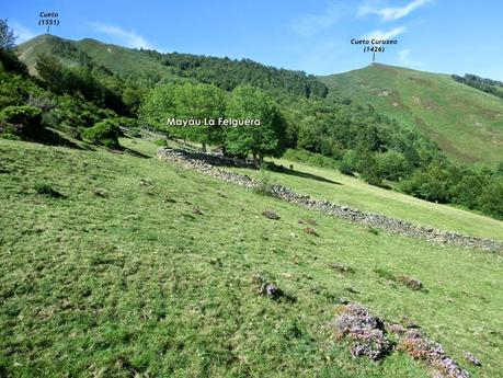 De braña en braña por Villar y Llamas