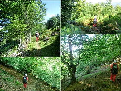 De braña en braña por Villar y Llamas